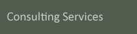 Consulting Services